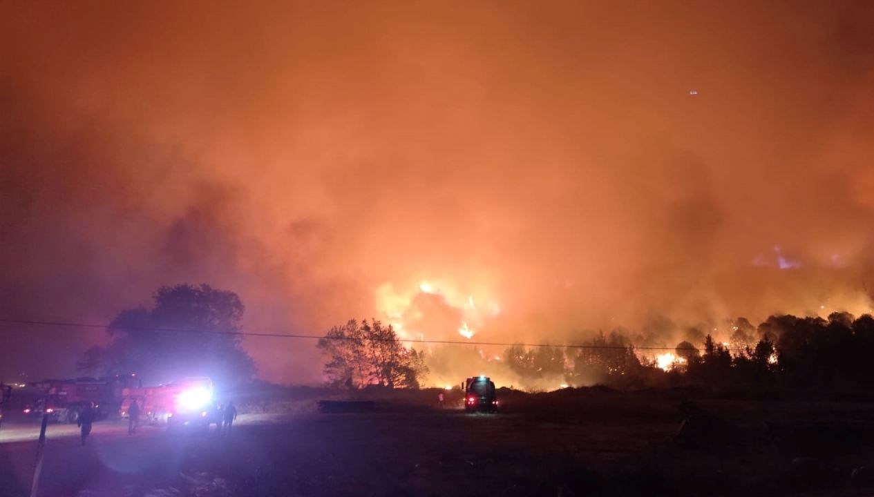 bursada orman yangini hWfbhnie