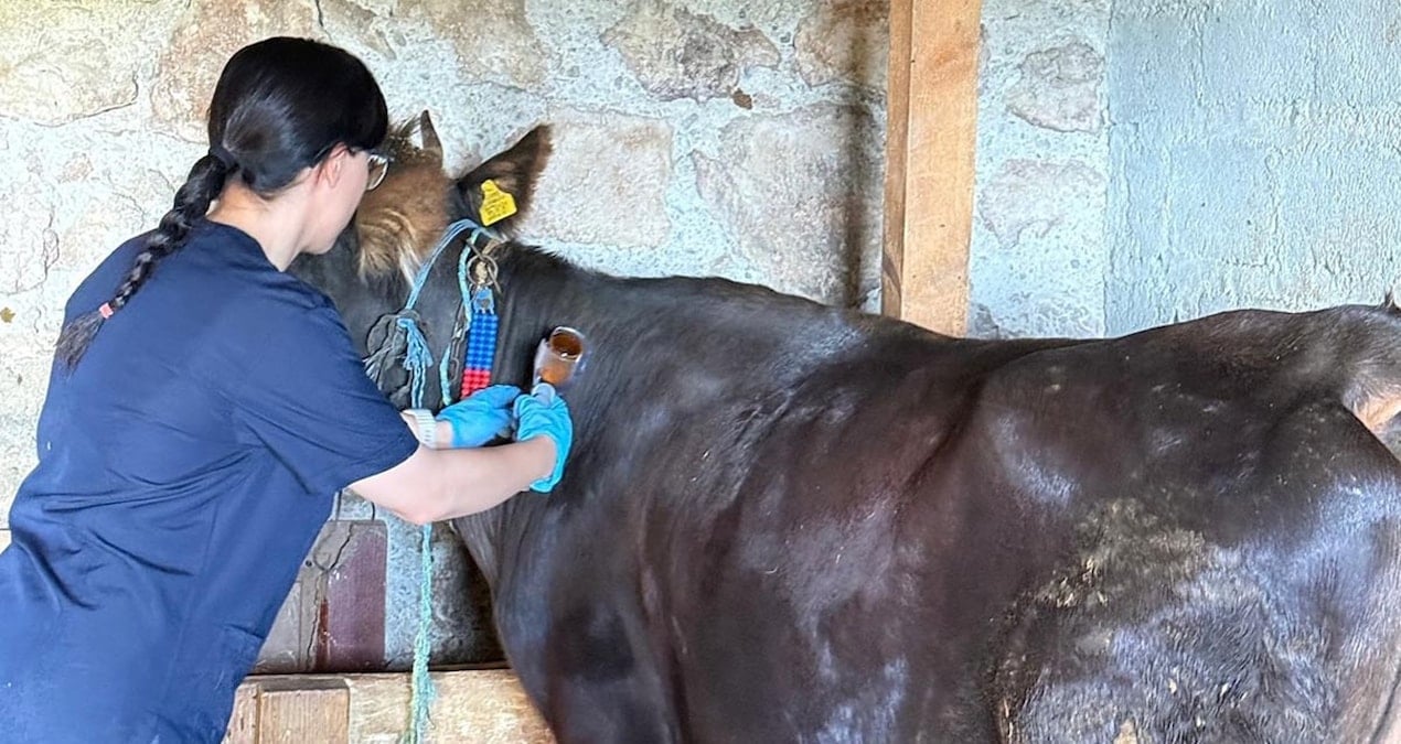 kastamonuda sap alarmi 69 koy karantinaya alindi AicSNcUM