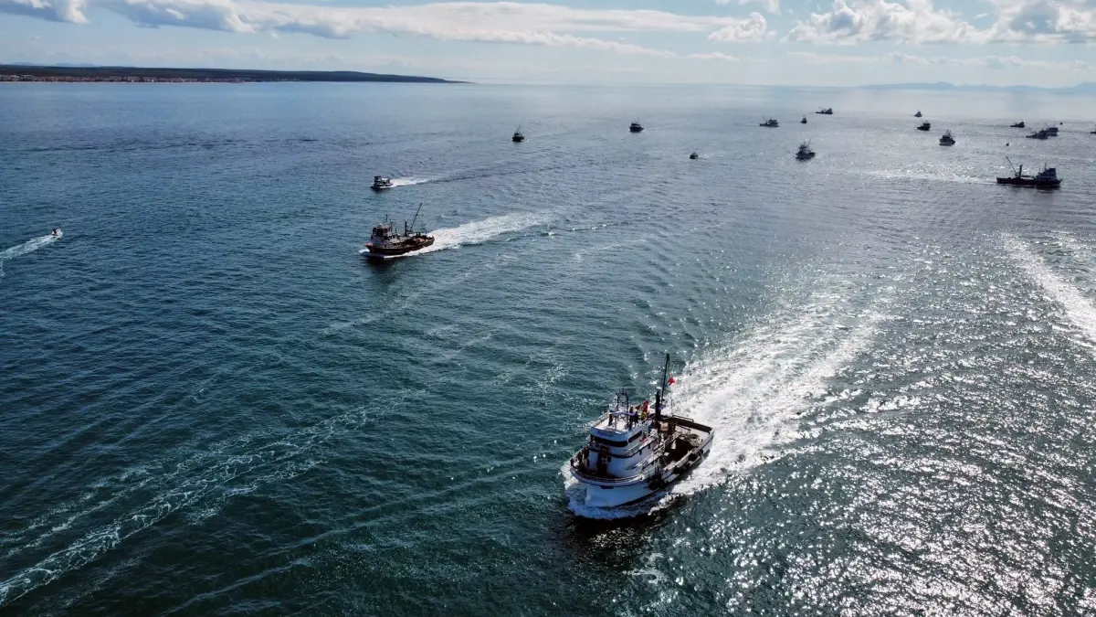 enezde sumud filosuna destek gosterisi GlUMNlAb