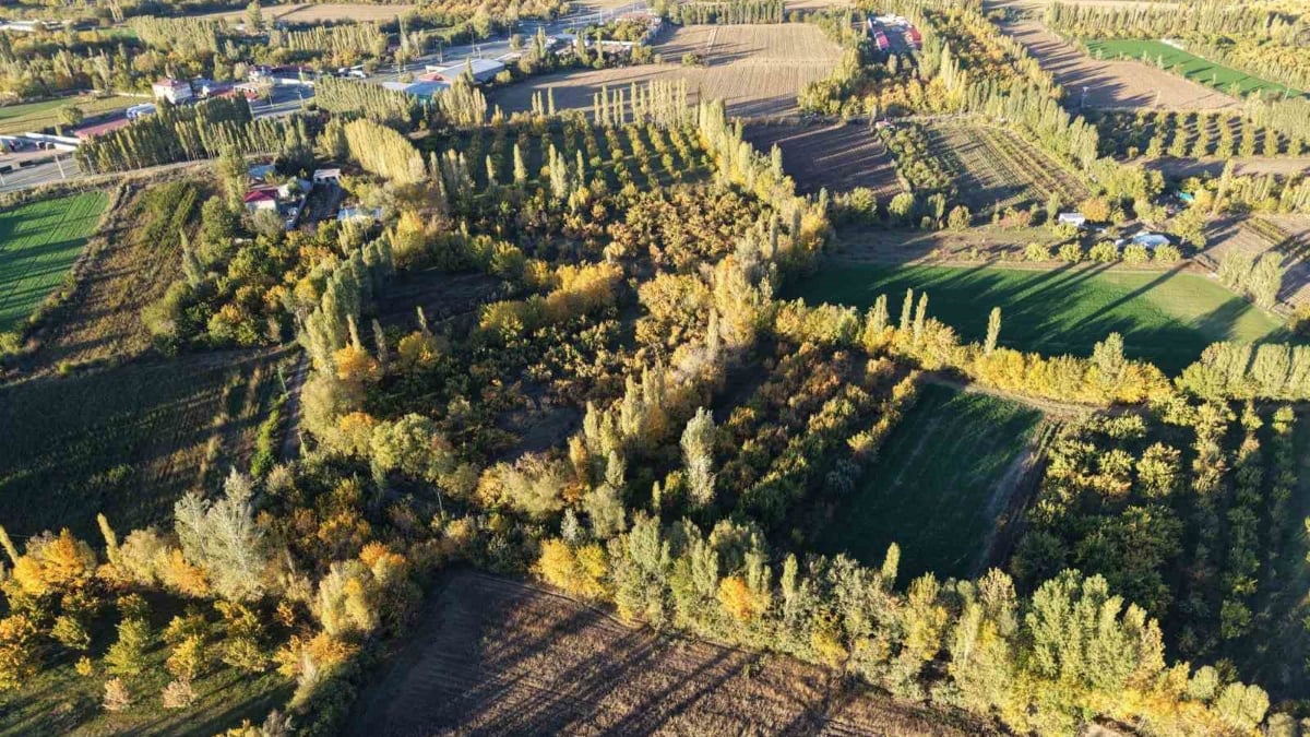 yurt disi degil turkiye burayi goren tablo saniyor TjEBVWsC.jpg