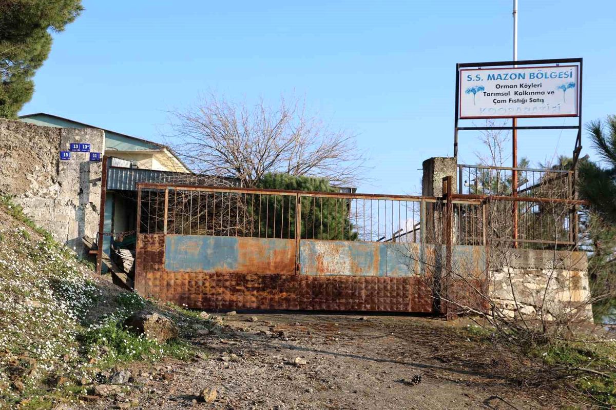 Kooperatif Umutları Sönüyor