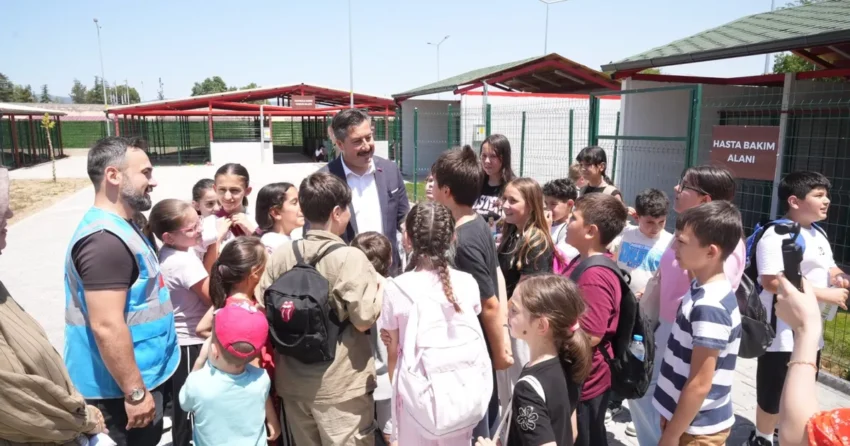 Bursada yenisehir hayvan bakimevi ve dogal yasam alani cocuklara kapilarini acti tbiNPY48