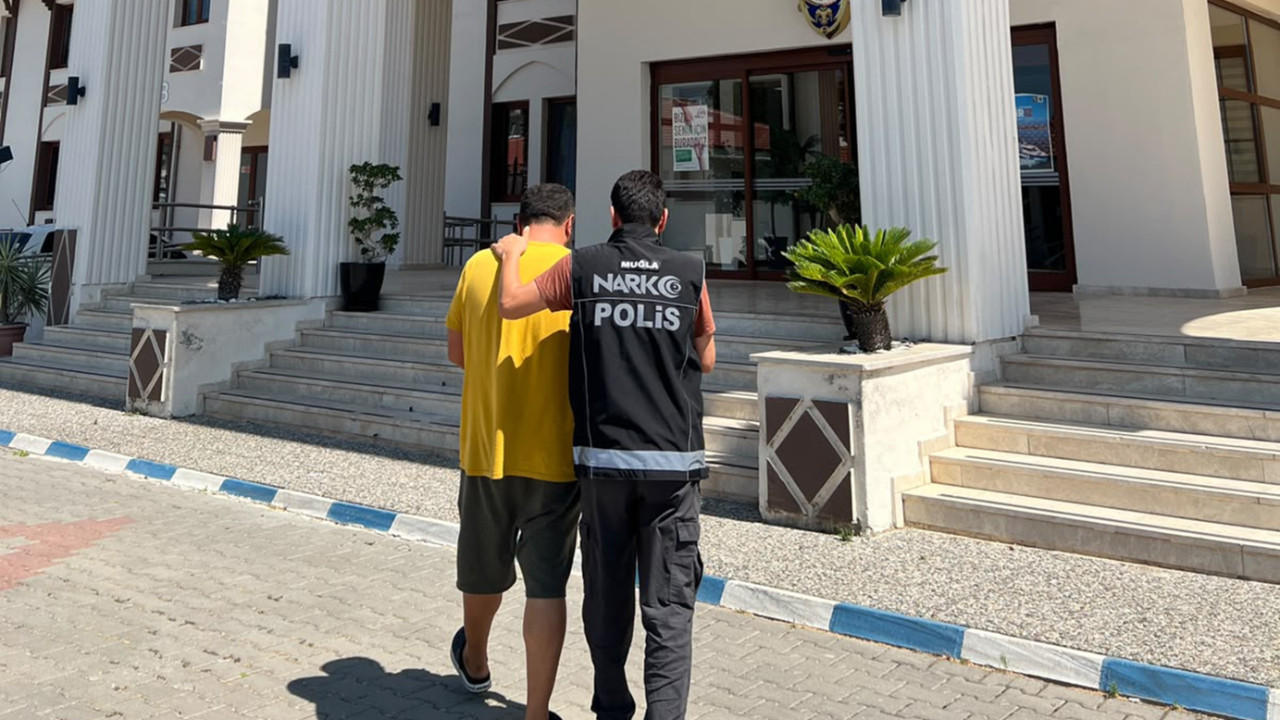 Haber gorseli